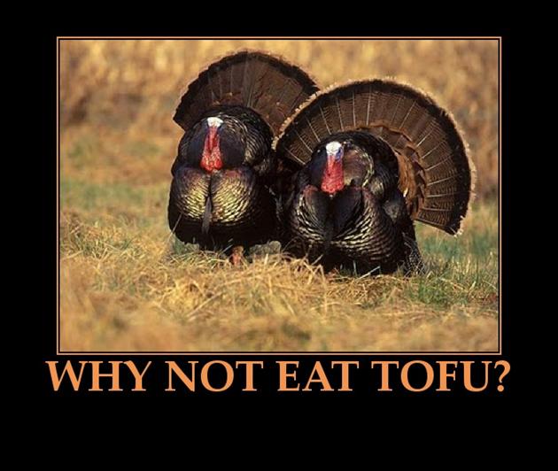 Funny Quotes About Turkey S. QuotesGram