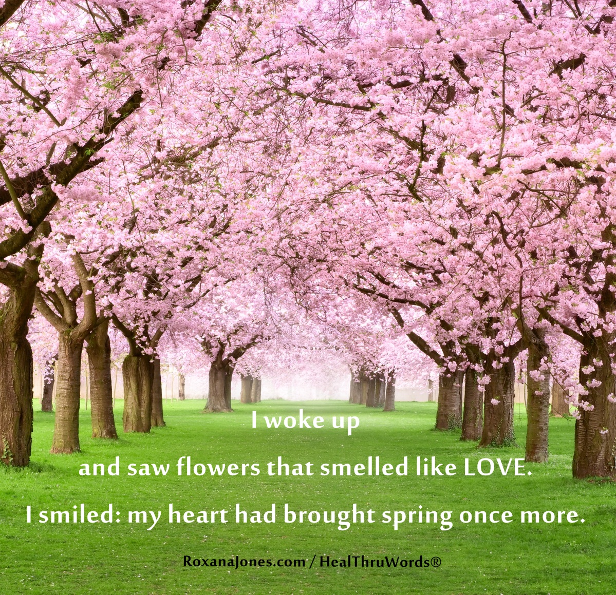 Spring Motivational Quotes. QuotesGram