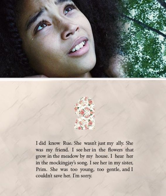 Katniss Hunger Games Quotes. QuotesGram