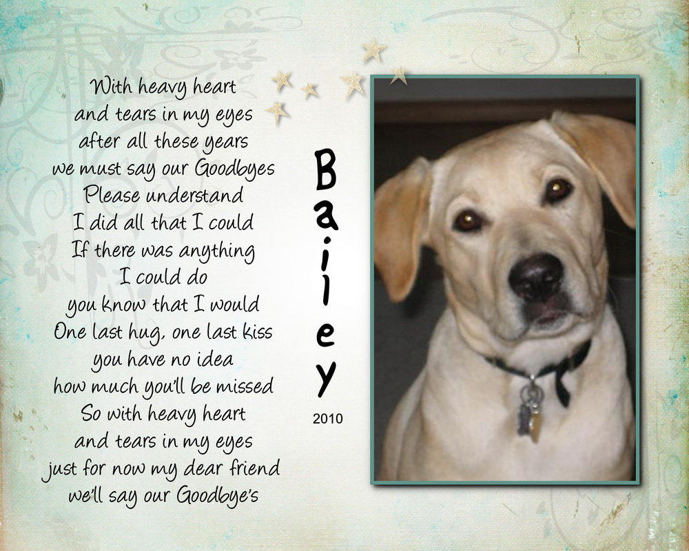Memorial Quotes For Dead Dogs QuotesGram