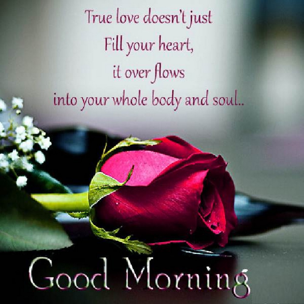 Love Quotes Best Good Morning. QuotesGram