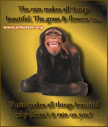 Funny Quotes Rainy Day Quotesgram