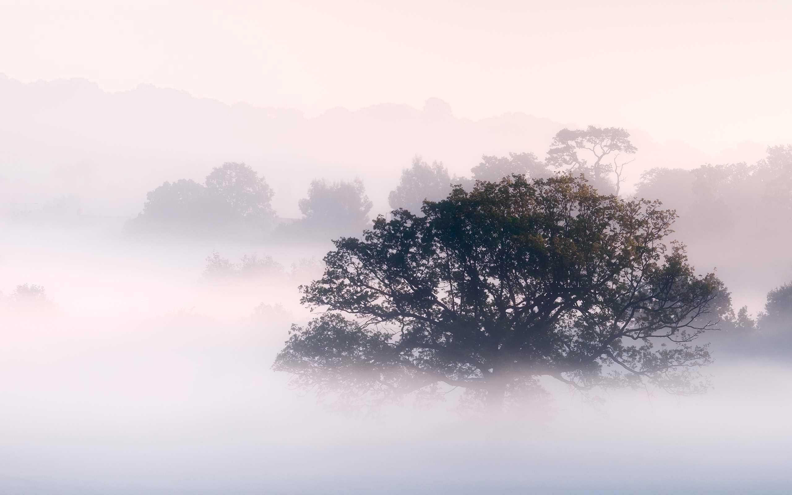 Quotes About Fog And Mist. QuotesGram