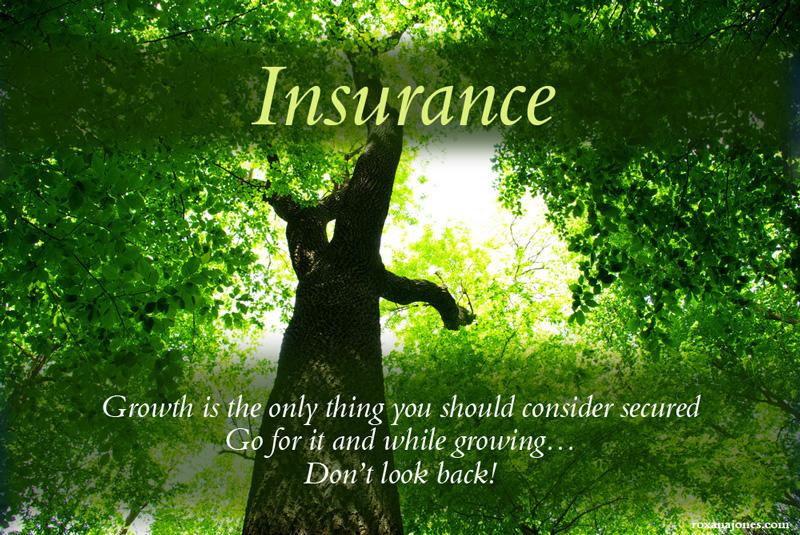 Insurance Motivational Quotes. QuotesGram