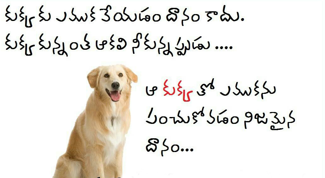 Telugu Funny Images Quotes. QuotesGram