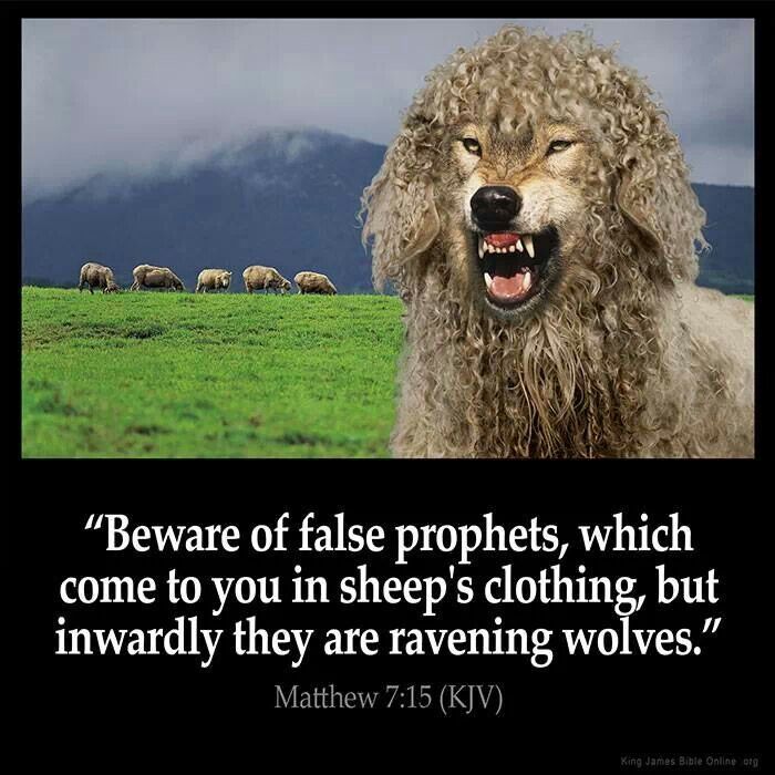 Wolves In Sheeps Clothing Quotes. QuotesGram