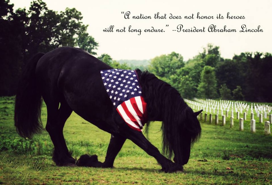 Memorial Day Quotes Thank You. QuotesGram