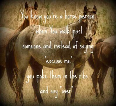 New Horse Quotes. QuotesGram