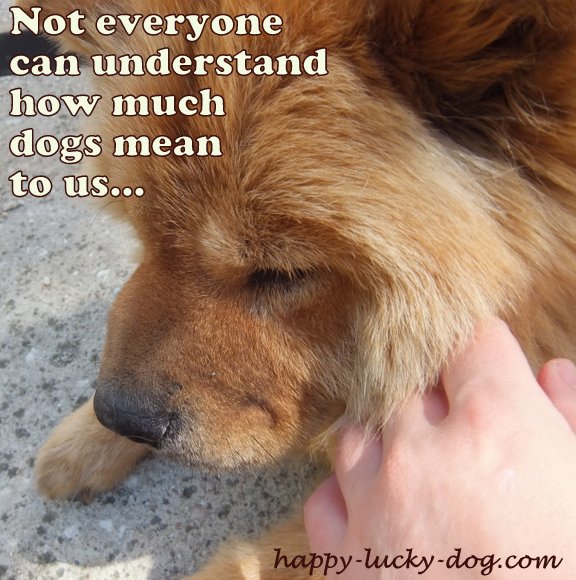 Mean Dog Quotes. QuotesGram