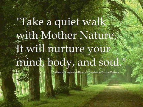 Quotes About Taking A Walk. QuotesGram