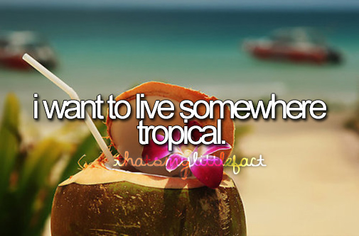 Tropical Island Boy Quotes. QuotesGram