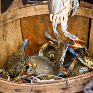 Crabs In A Barrel Quotes. QuotesGram