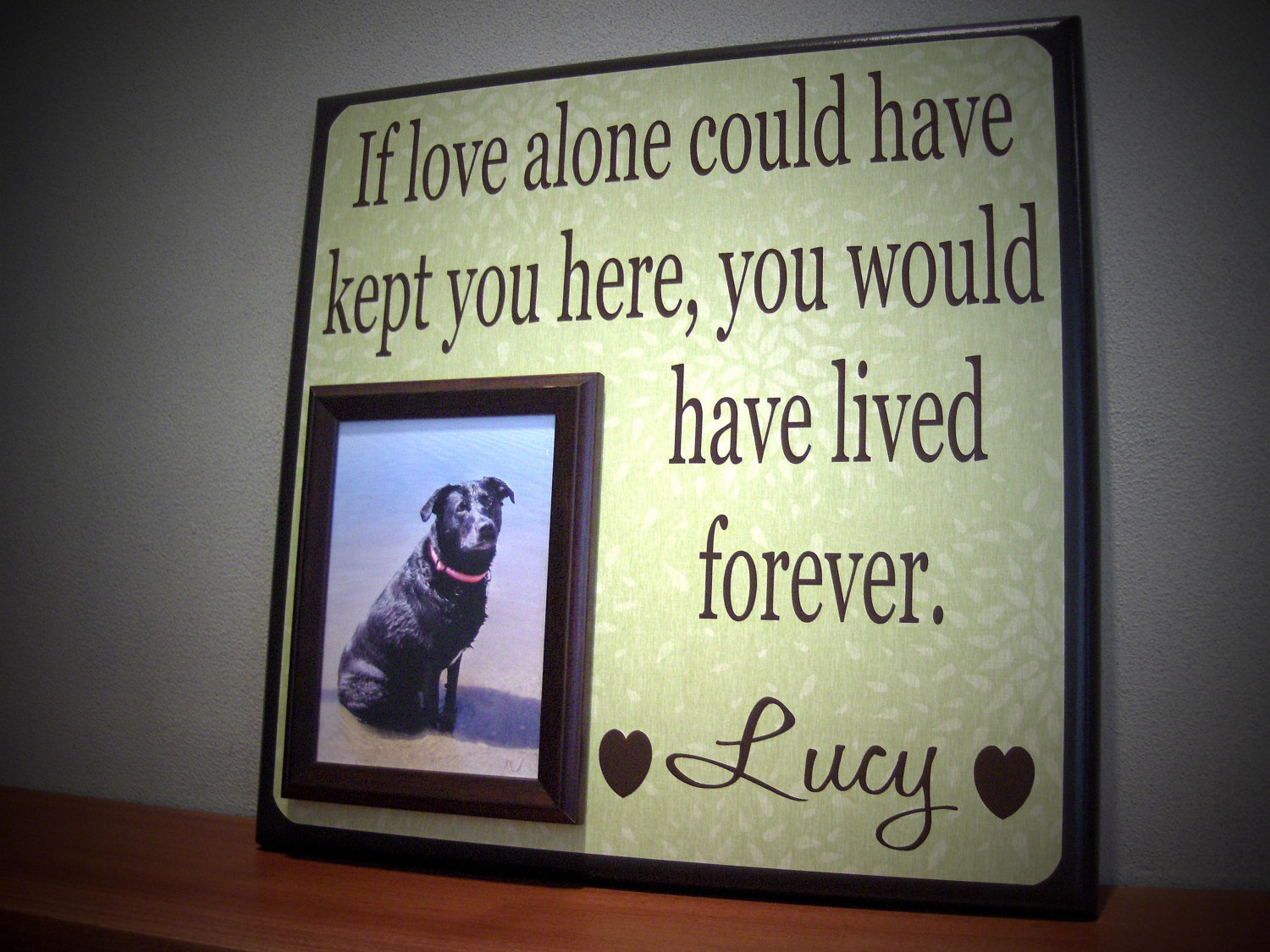 Beautiful Quotes About Losing A Pet Quotesgram