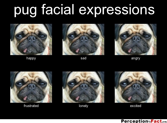 Quotes About Facial Expressions Quotesgram