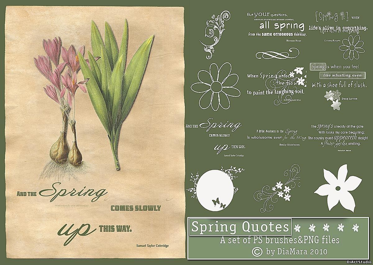Spring comes перевод. Spring quotes. Quotes about Spring. Spring inspiration quotes. Spring рабочий лист.
