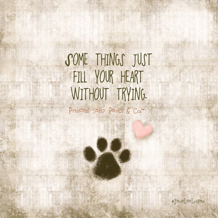 Quotes On Our Pets. QuotesGram