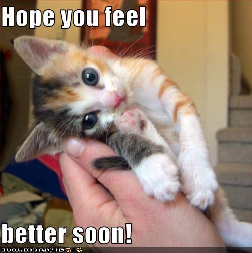 Hope You Feel Better Soon Quotes Cute Cats