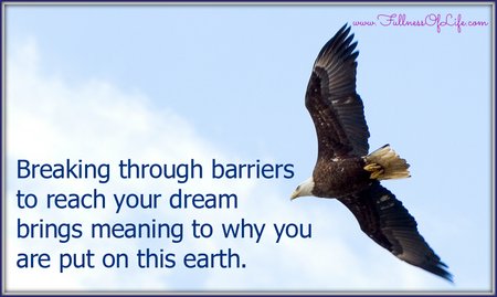 Quotes About Breaking Barriers. QuotesGram