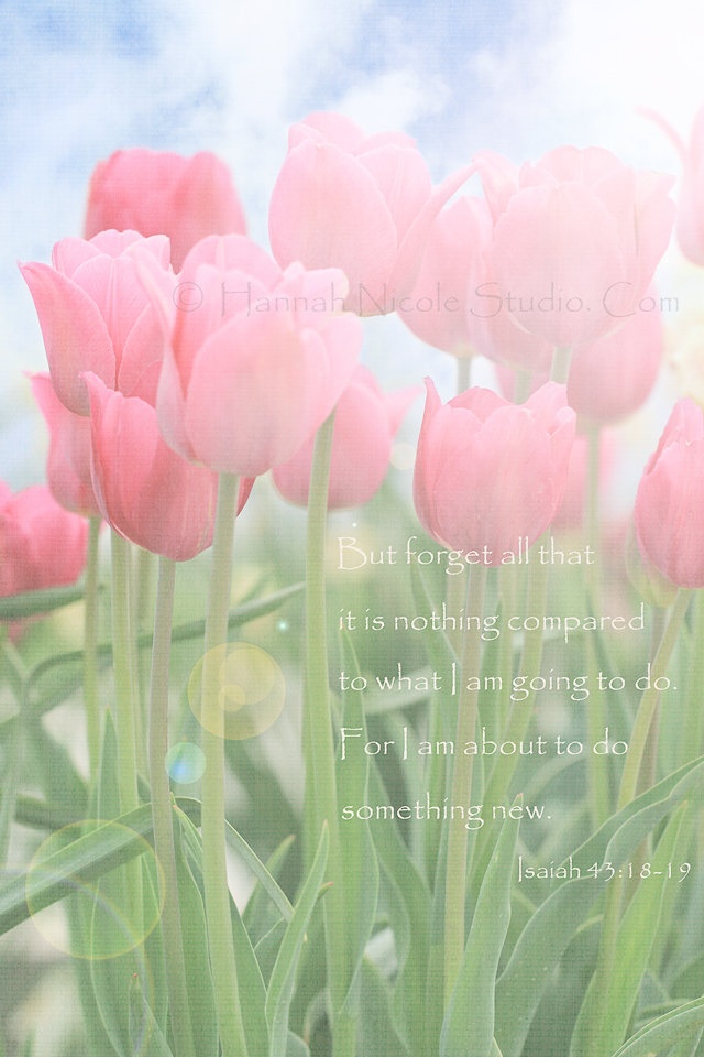 Quotes About Bible Verse Dandelion Wishes. QuotesGram