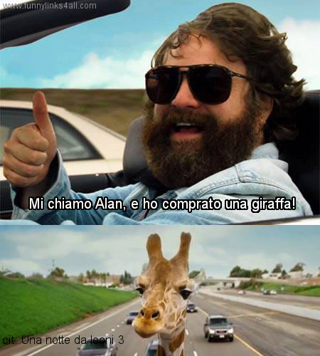 Quotes From The Hangover Alan.
