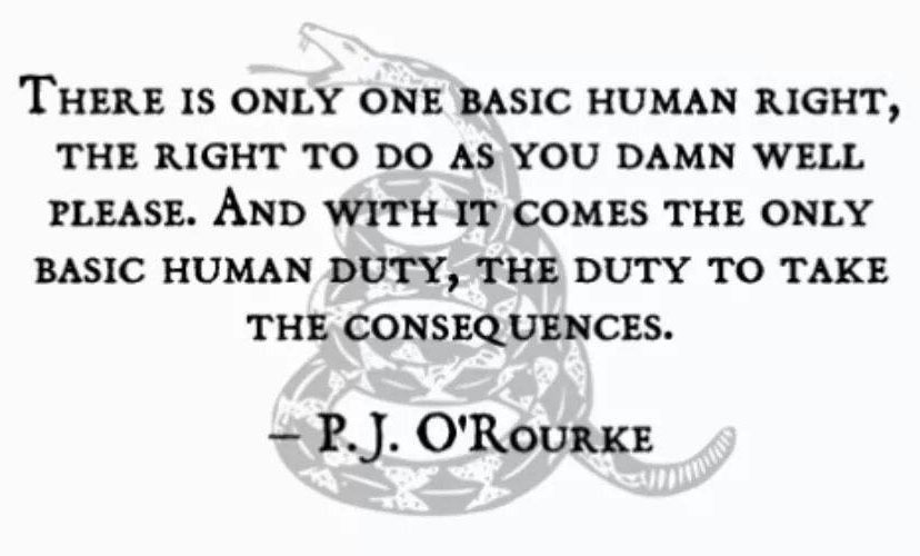 P J O Rourke Quotes Quotesgram