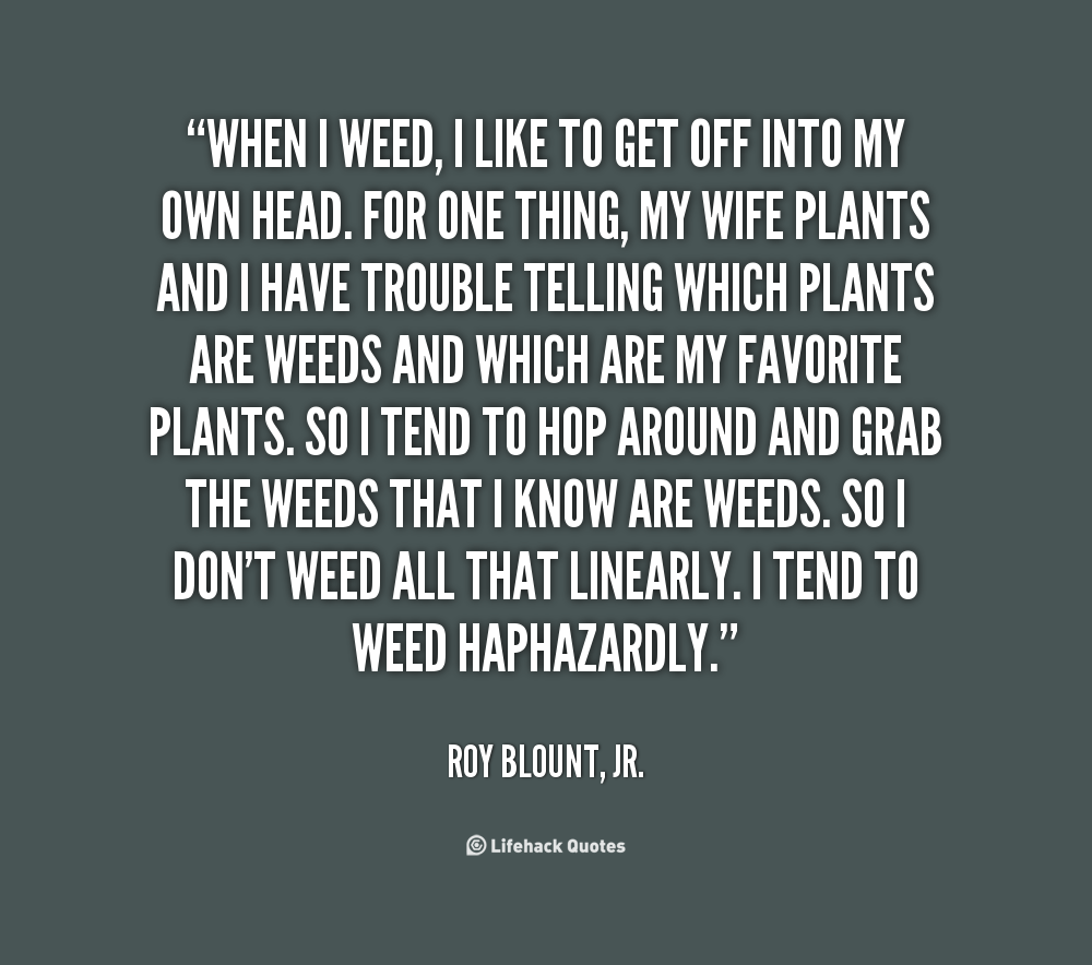 Weed Love Quotes Quotesgram