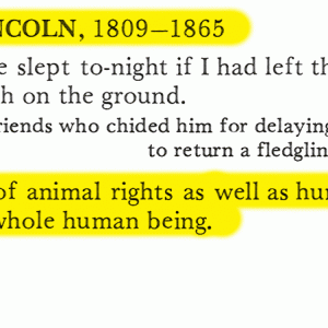 Animal Rights Activists Quotes. QuotesGram