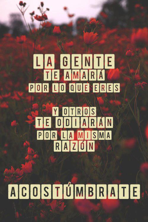 Spanish Quotes Hate. QuotesGram Spanish Quotes Hate. QuotesGram