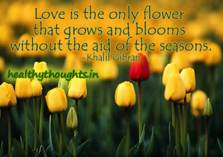 Khalil Gibran Quotes About Love. QuotesGram