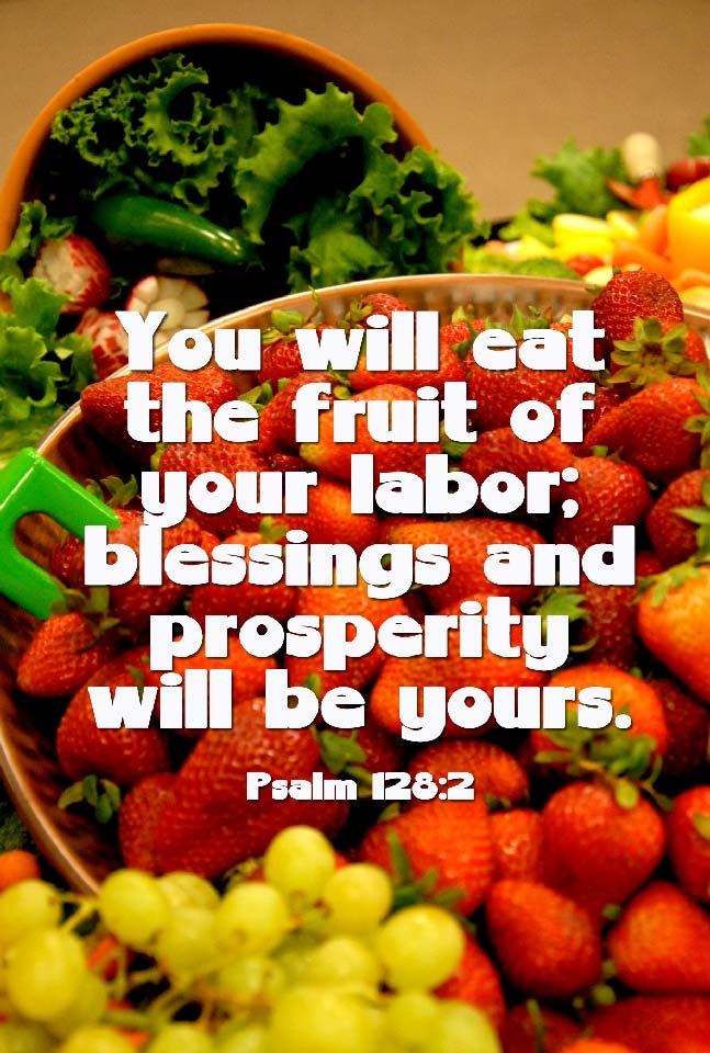 Bible Quotes About Fruit. QuotesGram