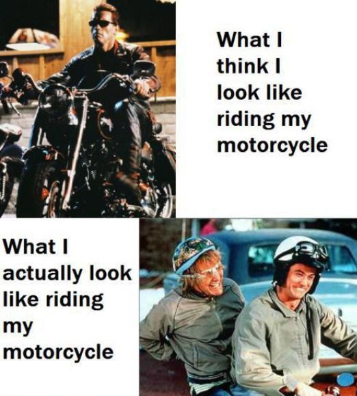 dumb and dumber moped memes