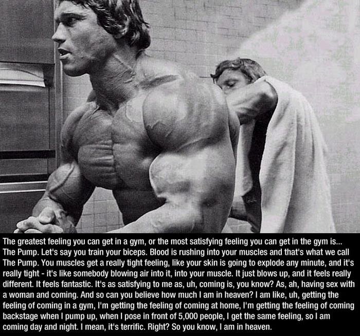 Arnold Schwarzenegger Best Movie Quotes. QuotesGram
