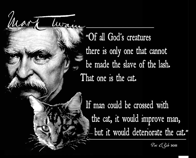 Mark Twain Quotes On Religion