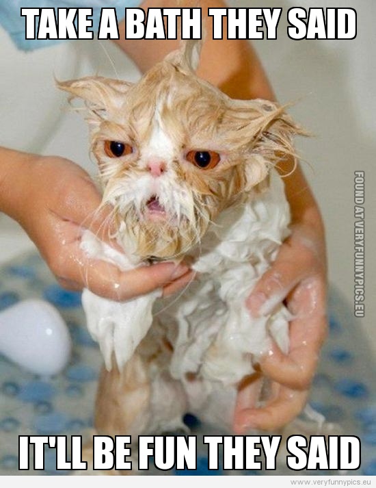 Funny Quotes With Pictures Of Baths. QuotesGram