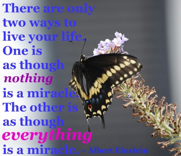 Motivational Spinning Quotes. QuotesGram