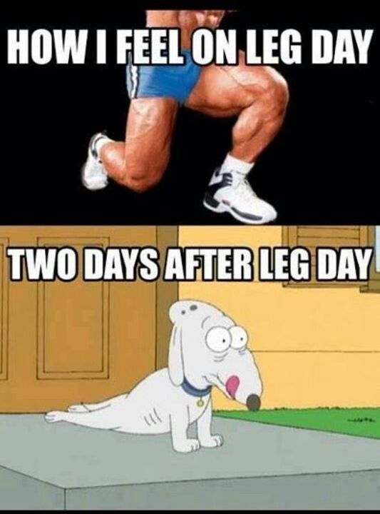 Gym Leg Day Funny Quotes. QuotesGram