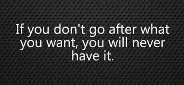 Go After What You Want Quotes. QuotesGram