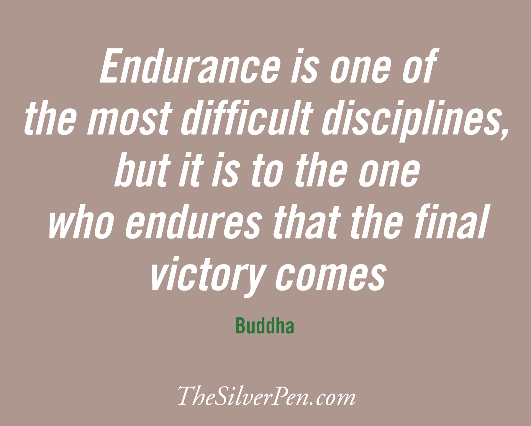 Endurance Quotes Inspirational. QuotesGram