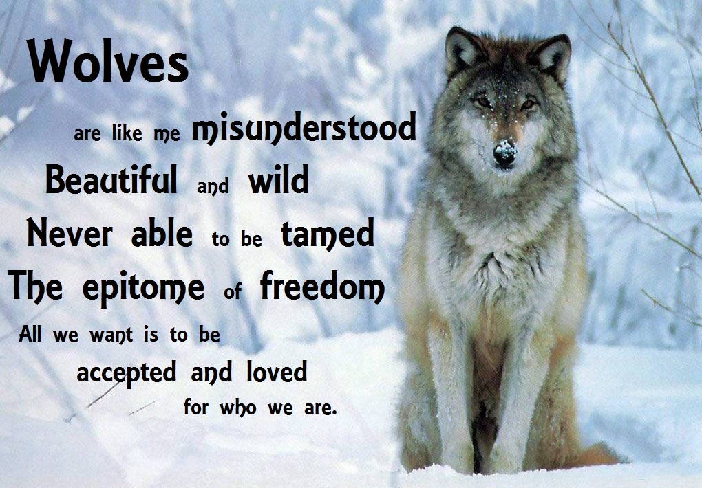 Wolf Spirit Quotes Family Sad. QuotesGram