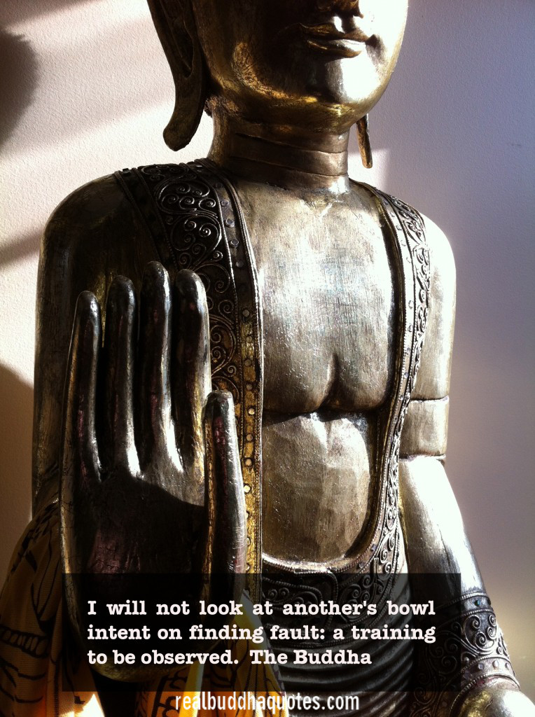 Buddha Find Fault Quotes. QuotesGram