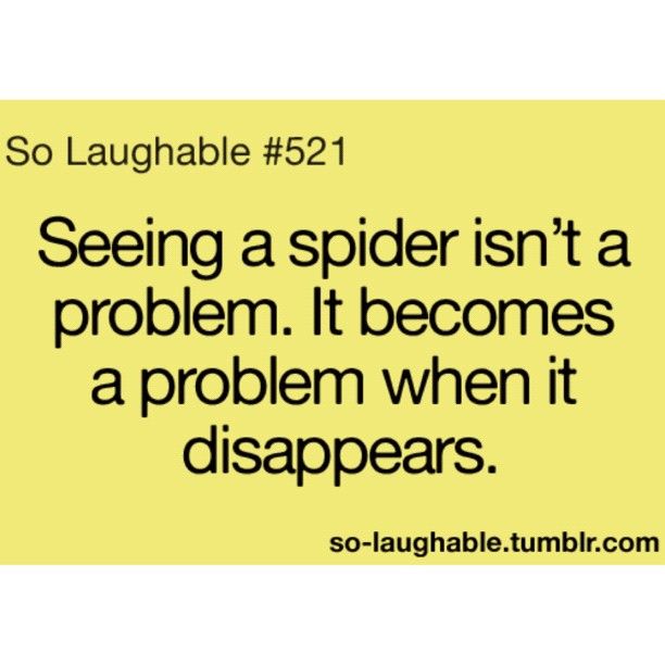 Funny Spider Pictures With Quotes. QuotesGram
