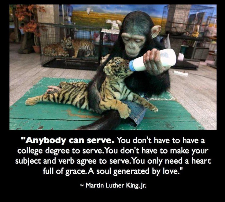 People Who Bash Others Quotes. QuotesGram