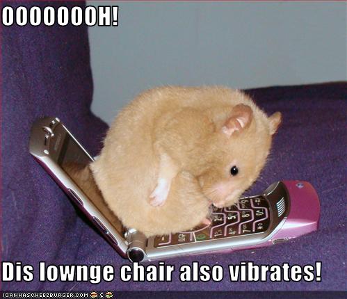 Funny Hamster Quotes. QuotesGram