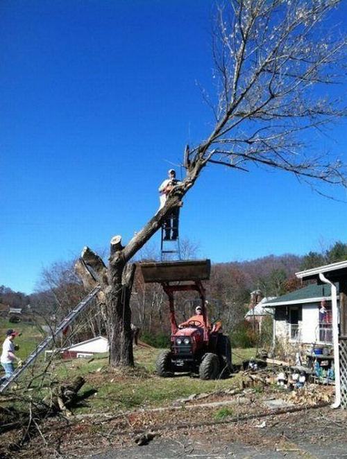 Funny Quotes About Tree Trimmers. QuotesGram