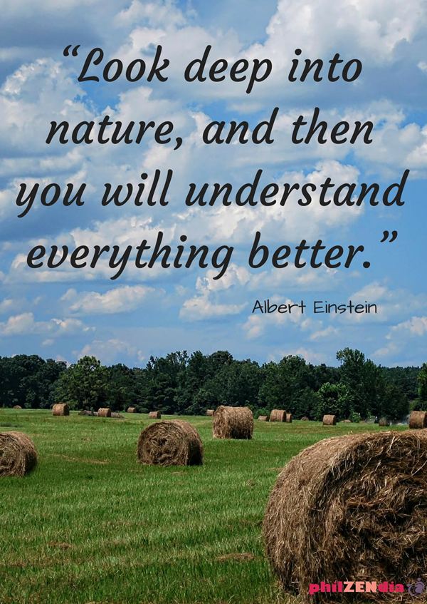 Earth Day Quotes Inspirational. QuotesGram