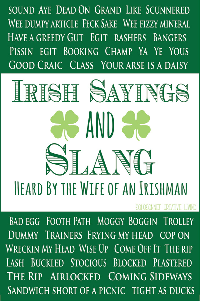 Funny Irish Quotes And Sayings Quotesgram