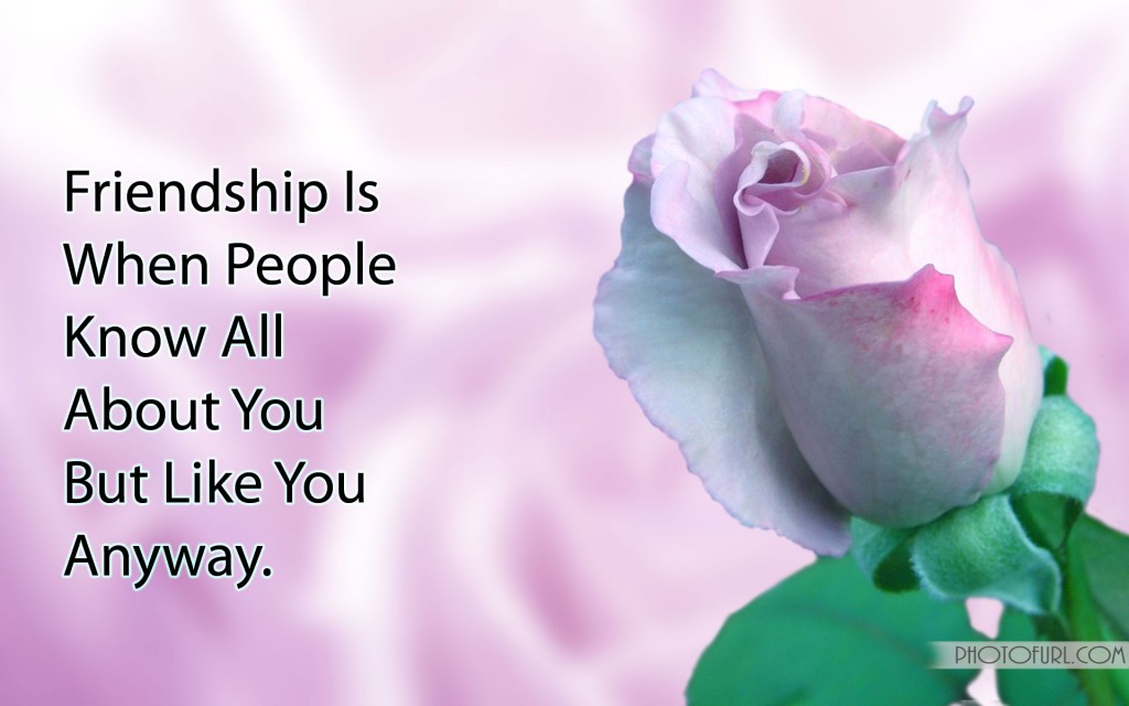 Rose Quotes About Friendship. QuotesGram
