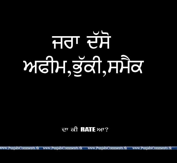 Funny Punjabi Quotes. QuotesGram