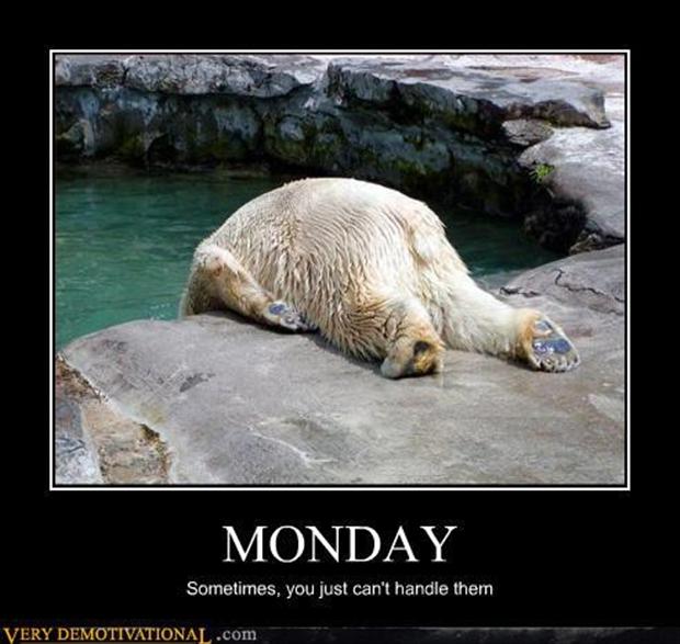 I Hate Monday Funny Quotes. QuotesGram
