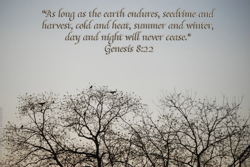 Bible Quotes About Change Bible Quotes About Change. Quotesgram